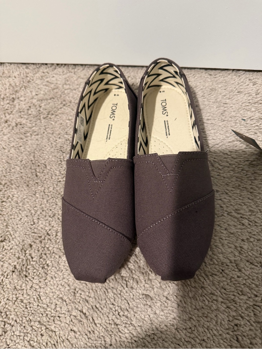 Toms Slip-On Canvas Shoes in Plum